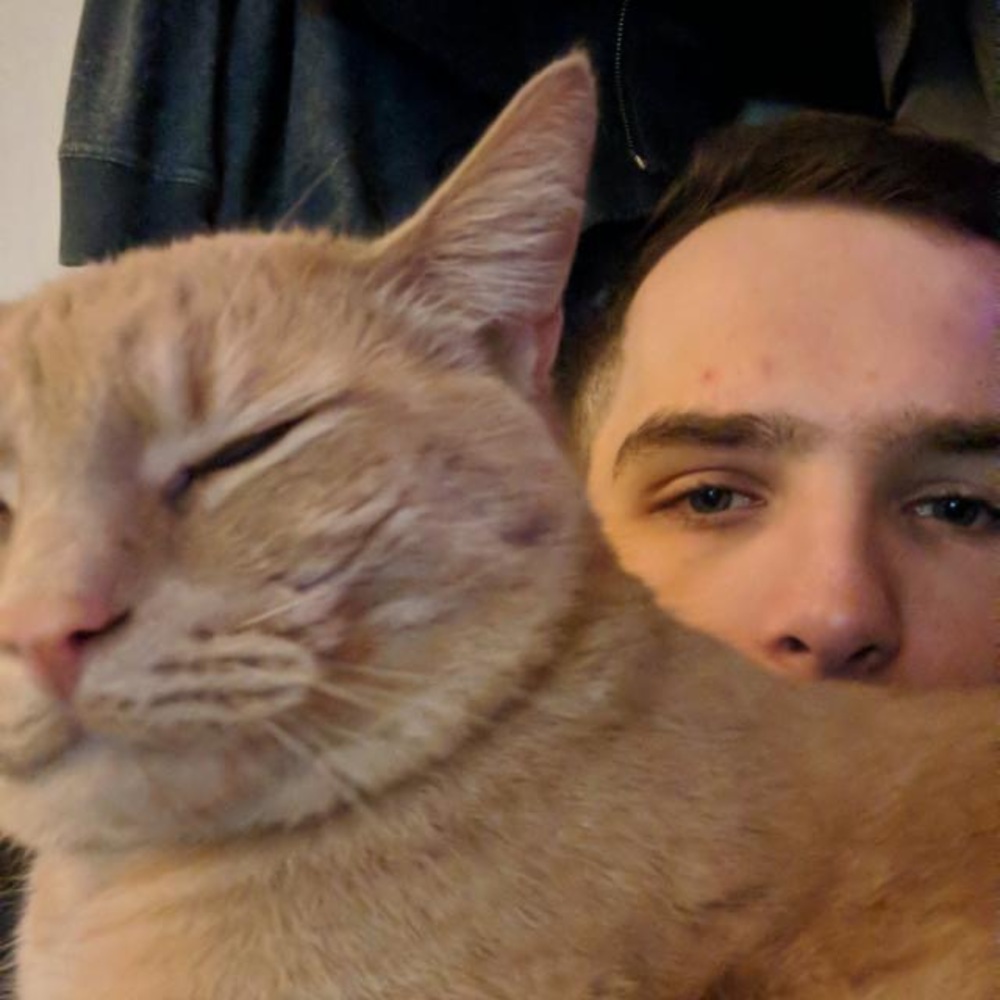 Meet your Posher, Connor